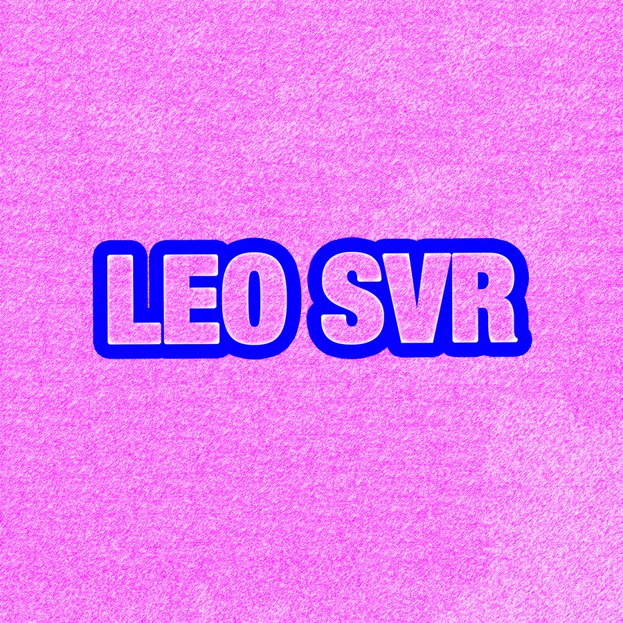 Pochette Leo SVR, dos