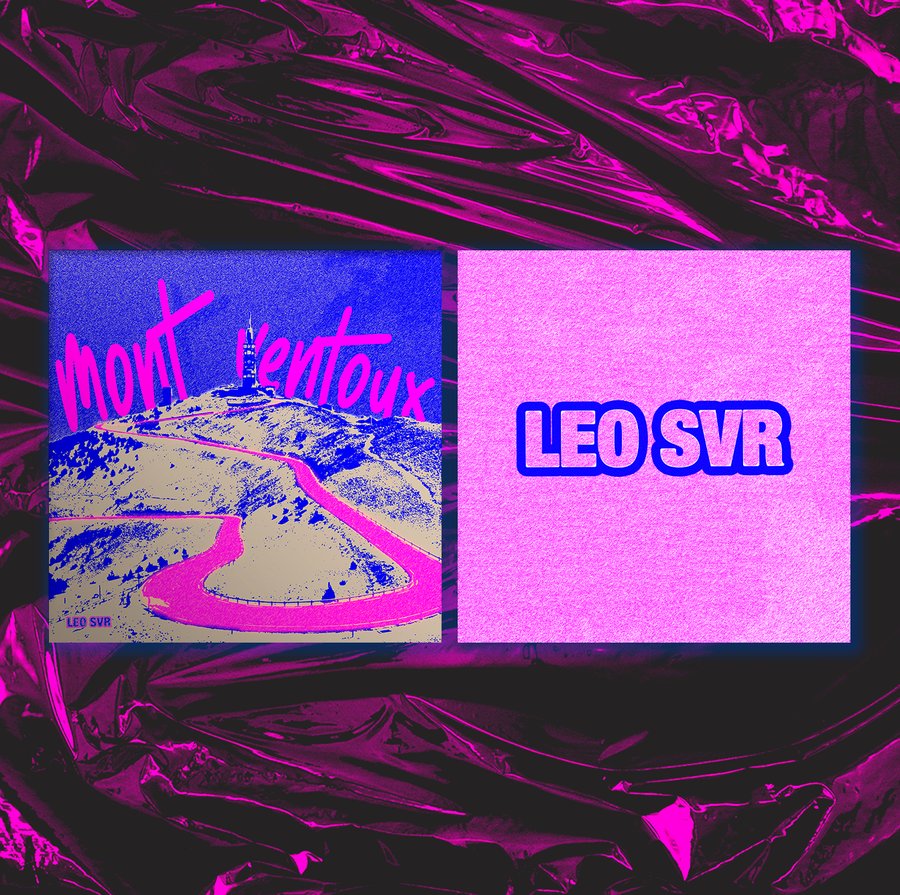 Présentation Leo SVR