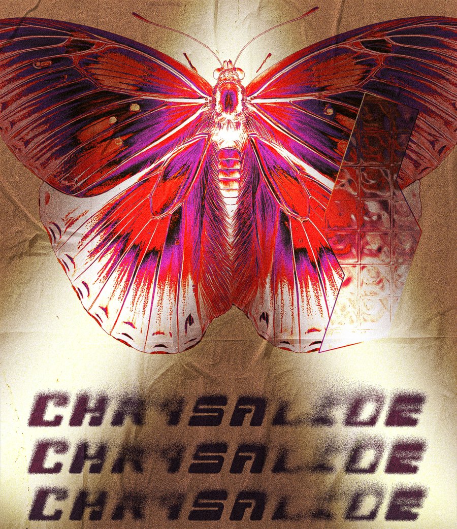Affiche Chrysalide