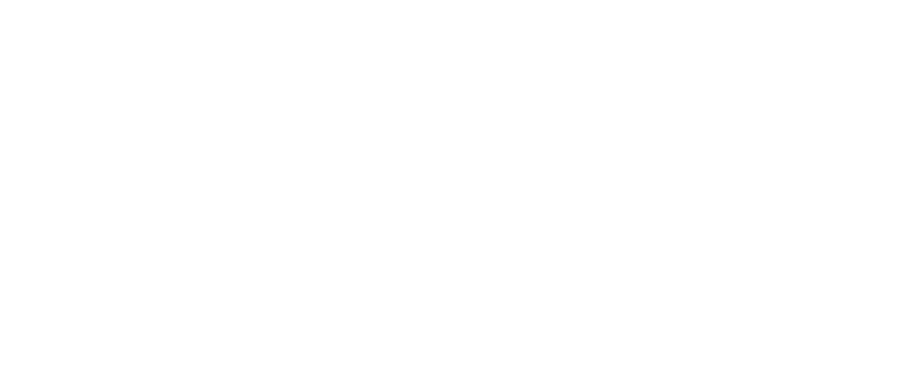 Logo NISSÉ complet, blanc